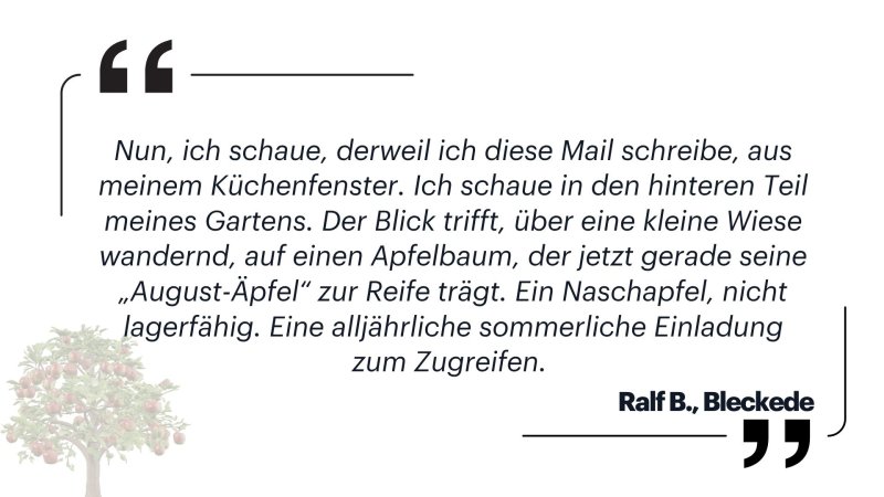 Grafisch gestaltetes Zitat von Ralf B., Bleckede: „Nun, ich schaue, derweil ich diese Mail schreibe, aus meinem Küchenfenster. Ich schaue in den hinteren Teil meines Gartens. Der Blick trifft, über eine kleine Wiese wandernd, auf einen Apfelbaum, der jetzt gerade seine ‚August-Äpfel‘ zur Reife trägt. Ein Naschapfel, nicht lagerfähig. Eine alljährliche sommerliche Einladung zum Zugreifen.“ Das Zitat wird von typografischen Anführungszeichen und einer kleinen Apfelbaum-Illustration begleitet.