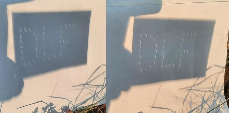 Zwei Aufnahmen sind zu einem Bild kombiniert: Auf weißem Papier sind viele kleine Sonnensicheln zu sehen. Die Flecken ergeben den Schriftzug DLF. Im linken Teil des Bildes sind die Sicheln nach rechts geöffnet, im rechten nach links
